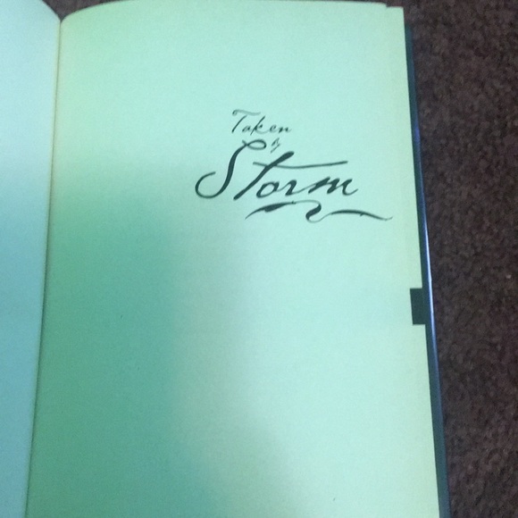 ‘taken by storm’ by jennifer lynn barnes - Picture 4 of 4